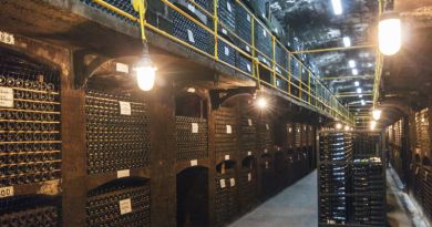Дегустация винодельческого комбината "Массандра" — фото 3