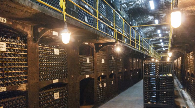 Фото Дегустация винодельческого комбината "Массандра" - вид 2