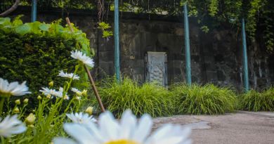 Дворец графа Воронцова и замок "Ласточкино гнездо" — фото 4