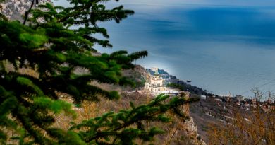 Крымская Швейцария ( Форос + Скельские пещеры) — фото 13