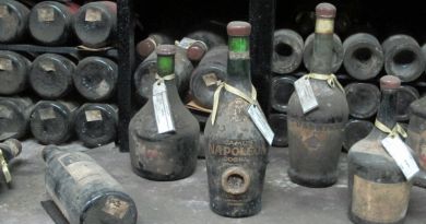 Дегустация винодельческого комбината "Массандра" — фото 6