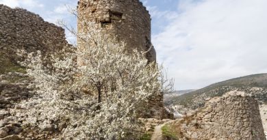 Балаклава. Бывшая секретная база подводных лодок — фото 3