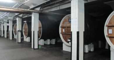 Дегустация винодельческого комбината "Массандра" — фото 4